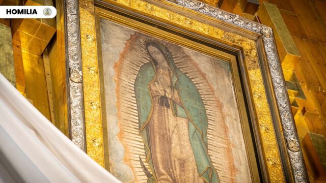 MARTES - SEMANA II DE ADVIENTO Solemnidad de Nuestra Señora de Guadalupe, Patrona de América