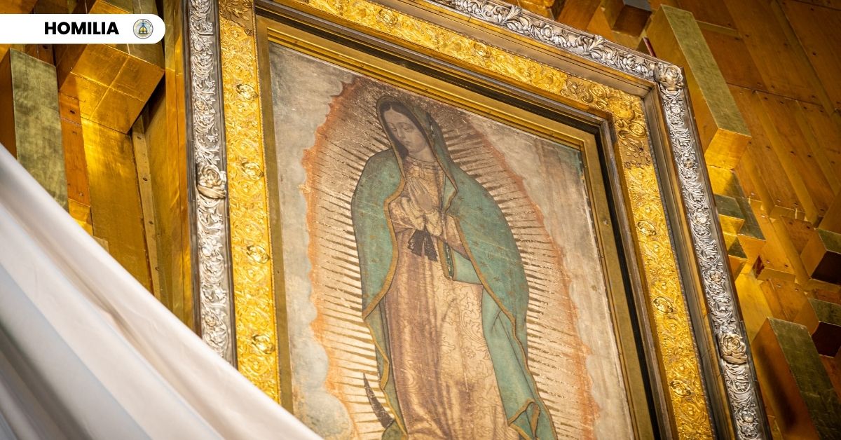 MARTES - SEMANA II DE ADVIENTO Solemnidad de Nuestra Señora de Guadalupe, Patrona de América